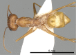 Figure 10.
