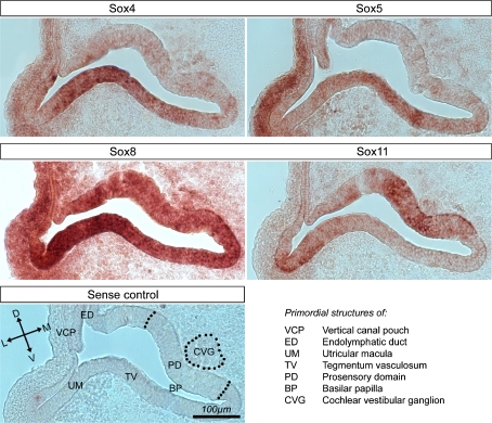 FIG. 6