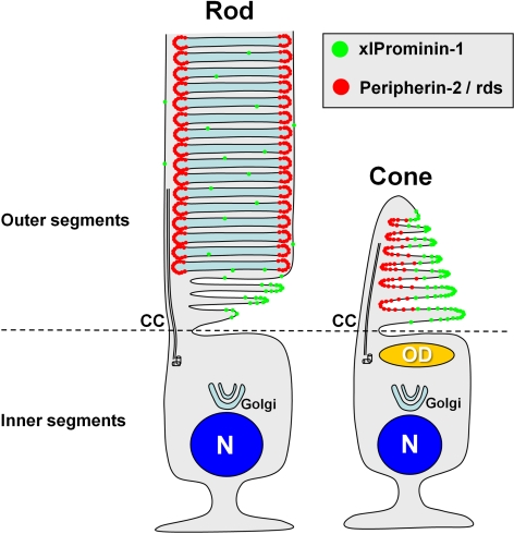 Figure 10.