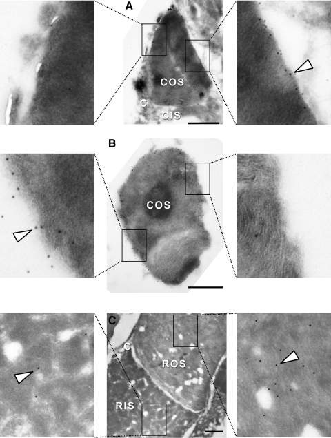 Figure 7.