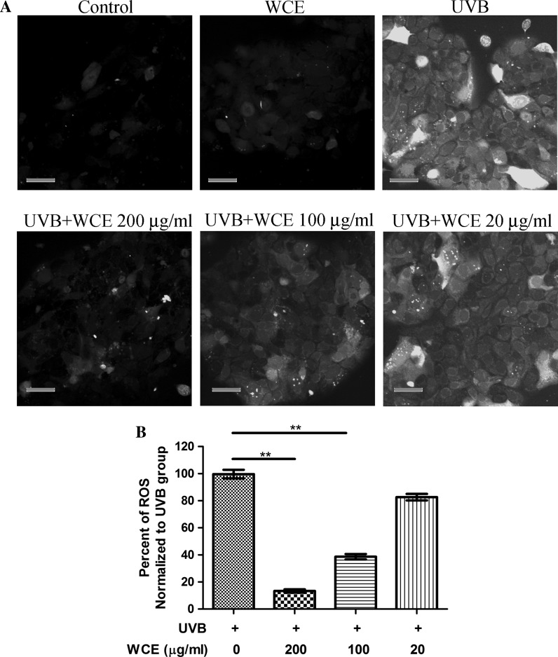 Fig. 4