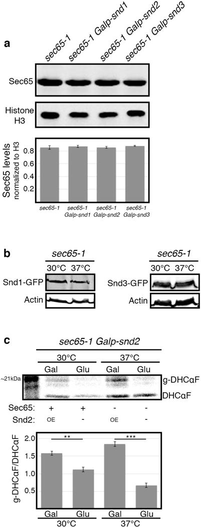 Extended Data Figure 4