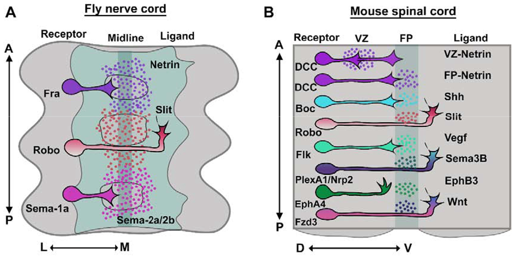 Figure 1: