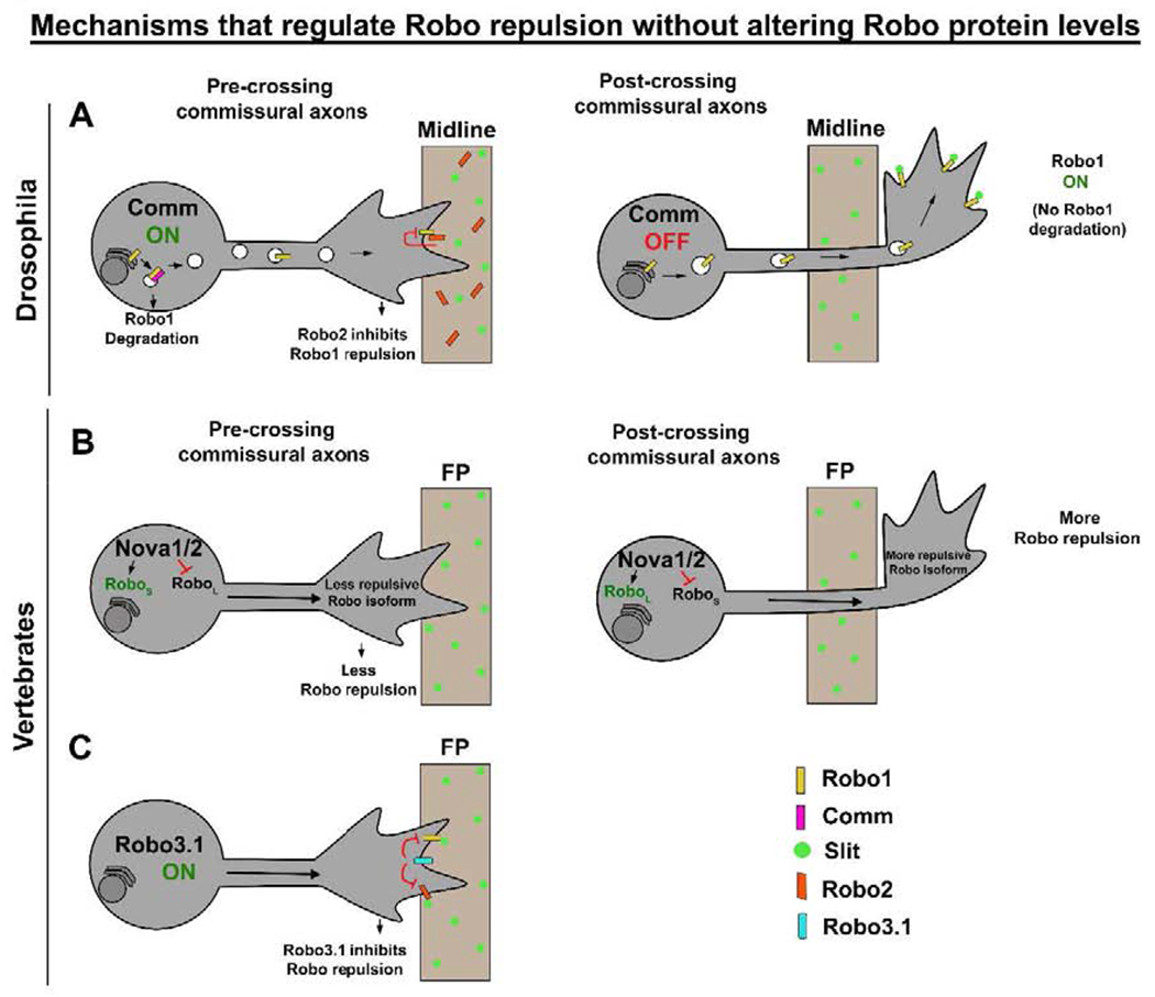 Figure 3: