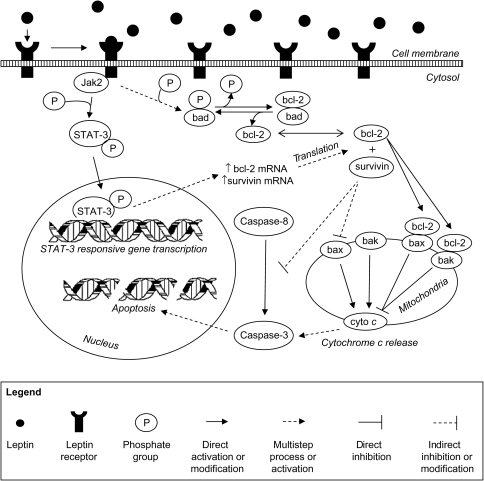 Figure 7