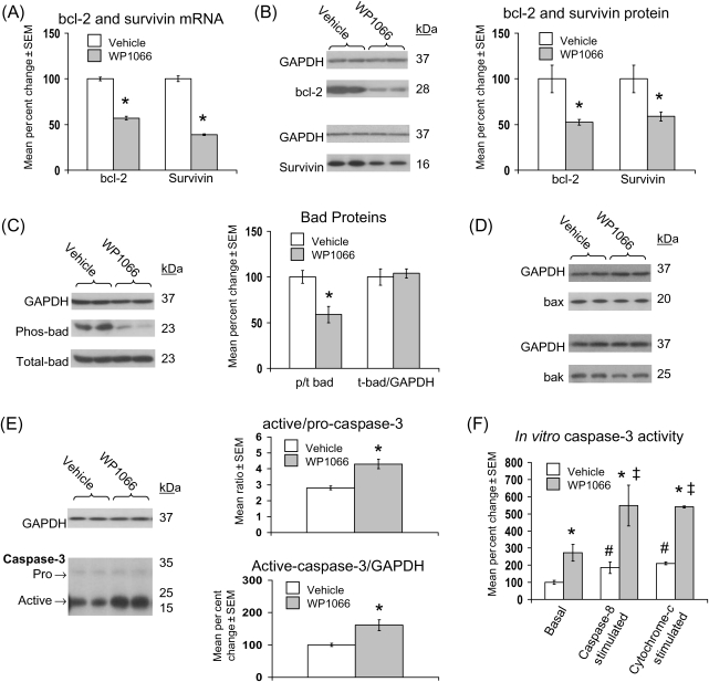 Figure 6