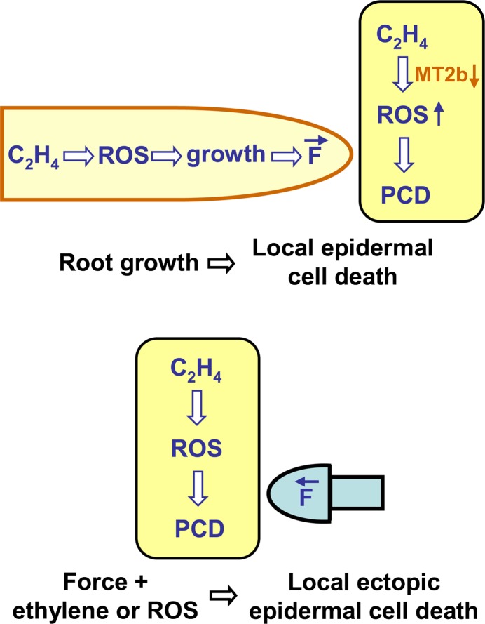 Figure 6.