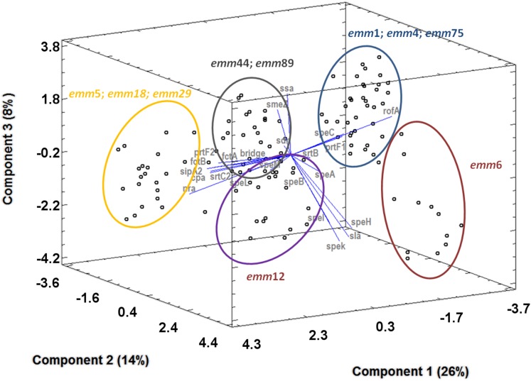 Figure 5