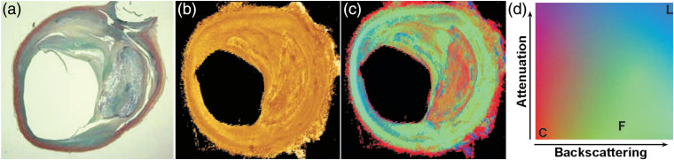 Fig. 9