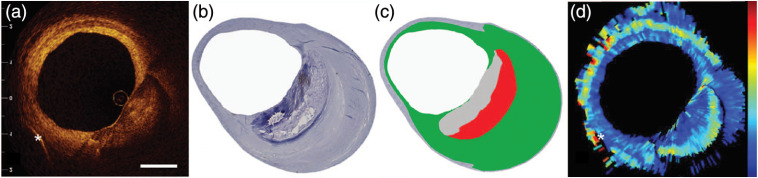 Fig. 8