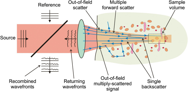 Fig. 1