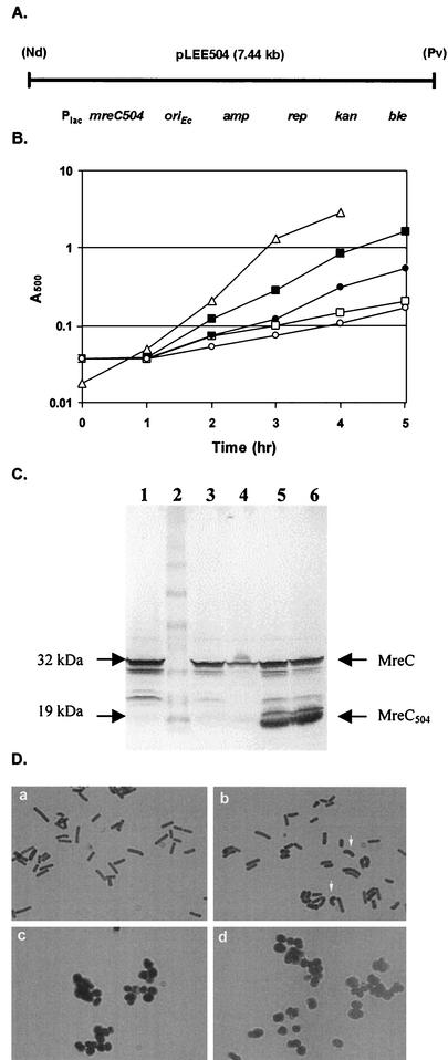 FIG. 6.