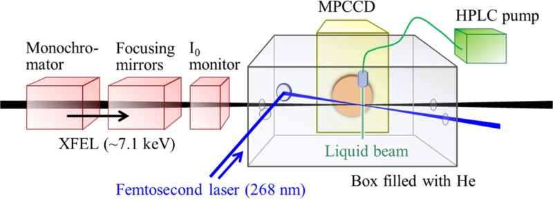 FIG. 1.