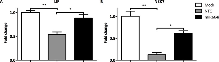 Fig 5