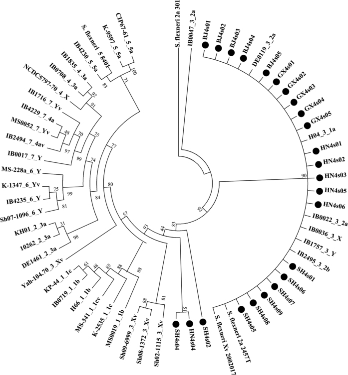 Figure 2