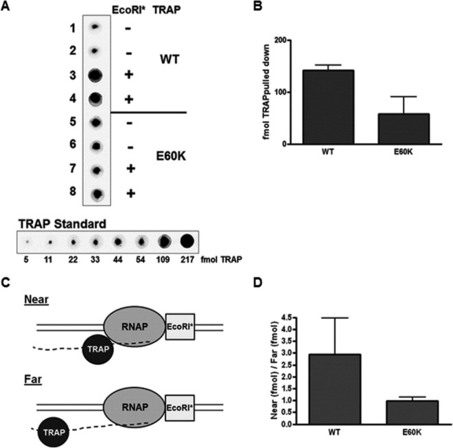 FIG 6