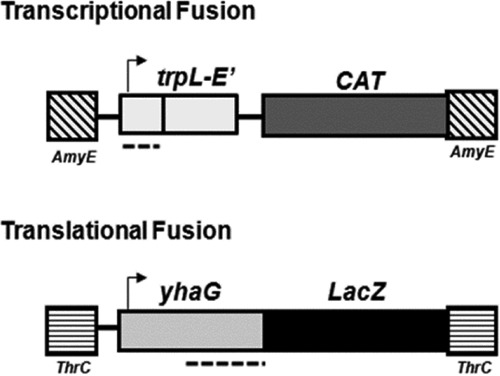 FIG 2