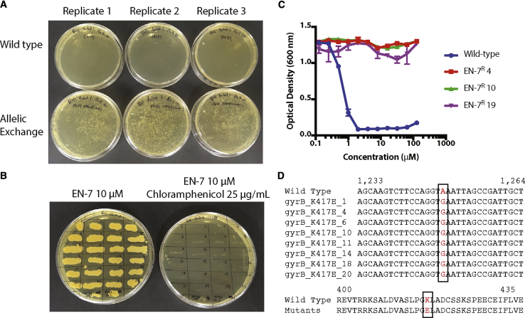 Figure 3