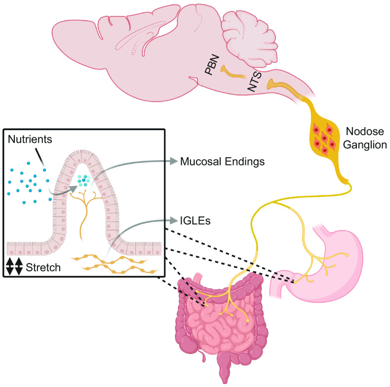 Figure 1.