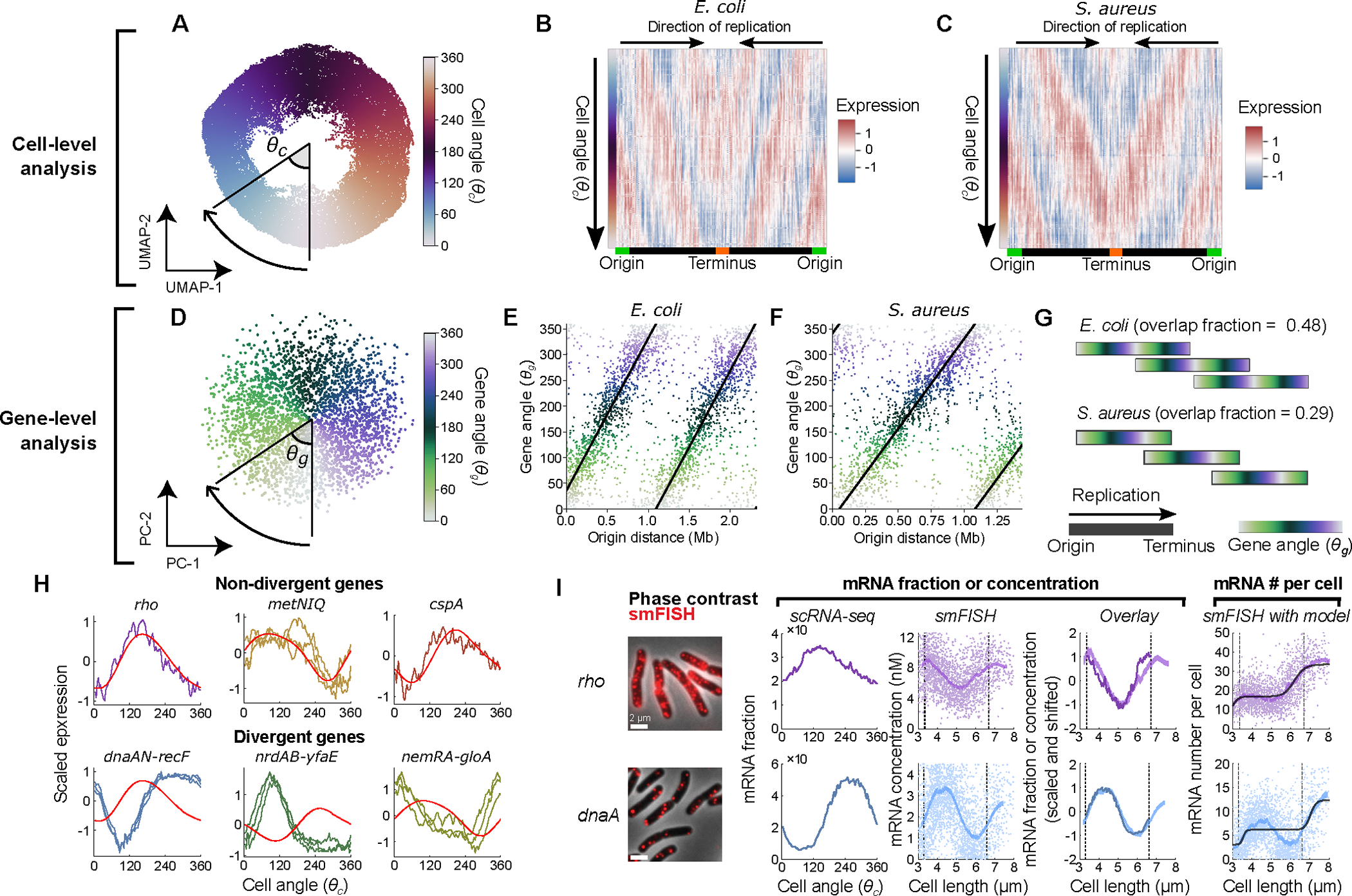 Fig. 2: