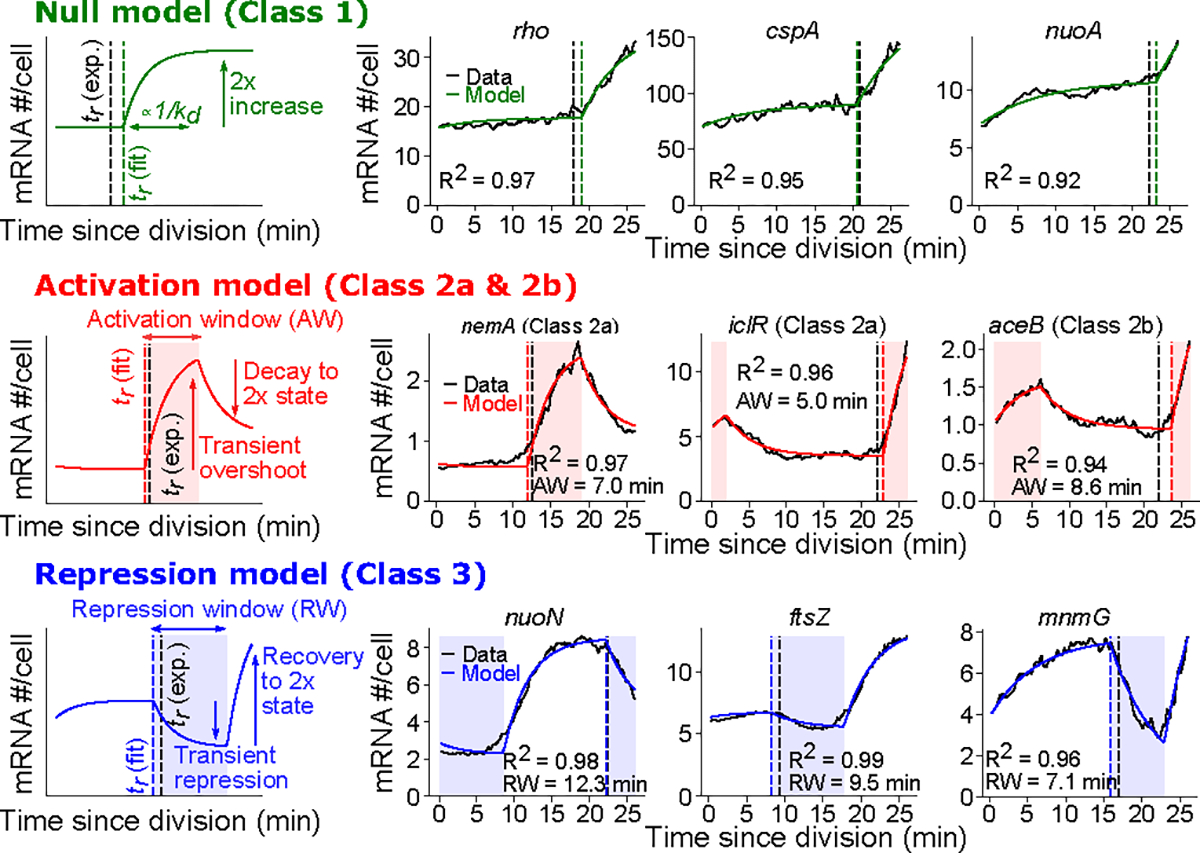 Figure 5: