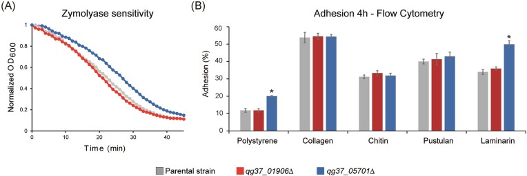 Figure 6.