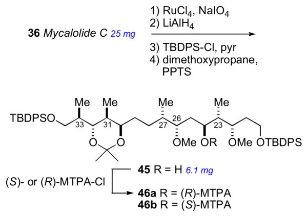 Scheme 6