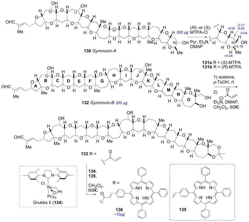 Scheme 20