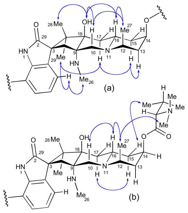 Figure 32