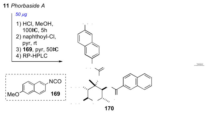 Scheme 25