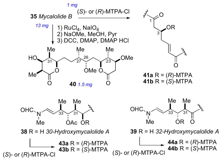 Scheme 5