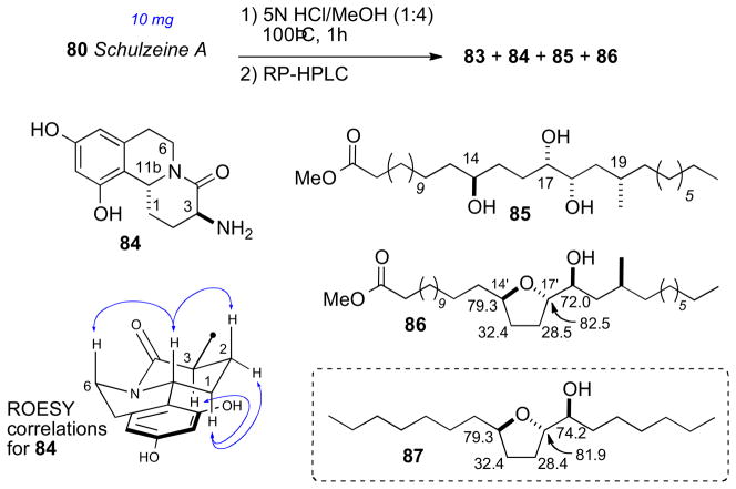 Scheme 12