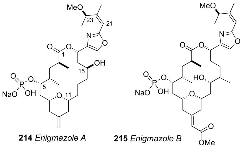 Figure 55