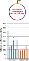 Figure 7.