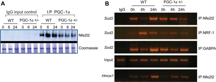 FIGURE 9.