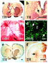Fig. 3.