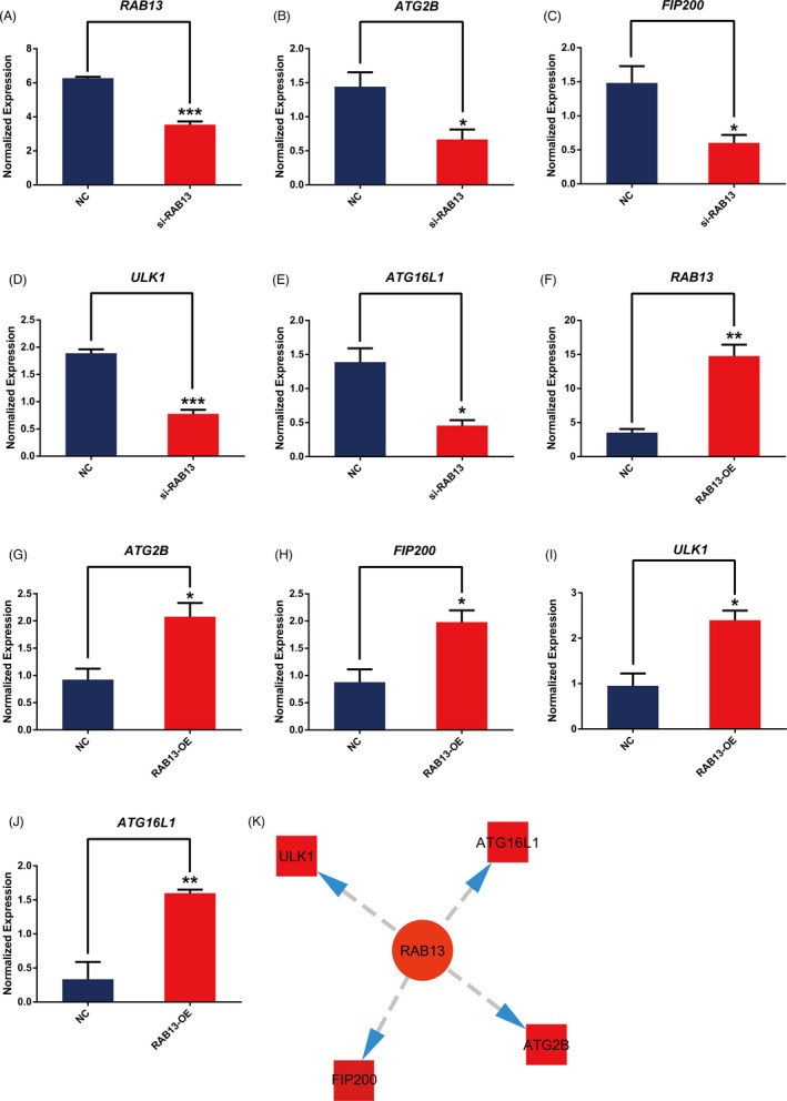 FIGURE 3