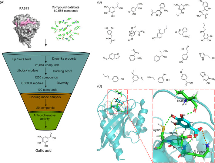 FIGURE 6