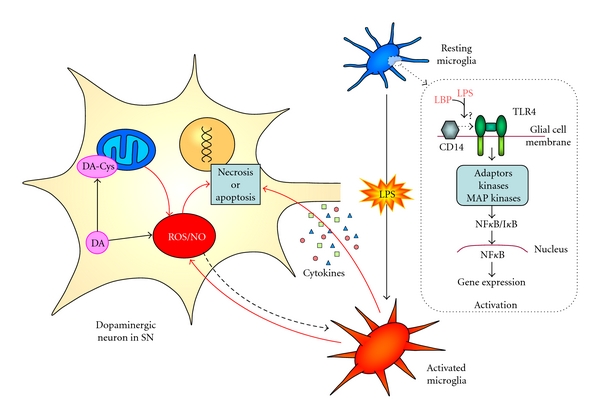 Figure 2