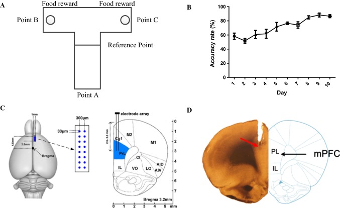 Fig. 1