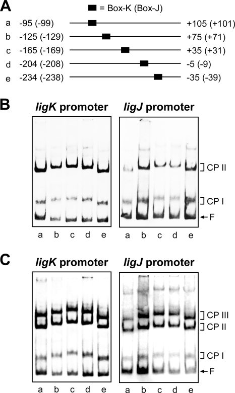 FIG. 8.