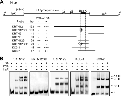 FIG. 5.