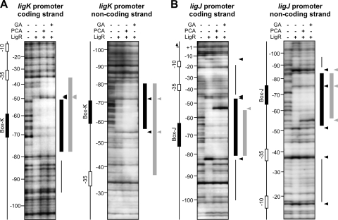 FIG. 7.