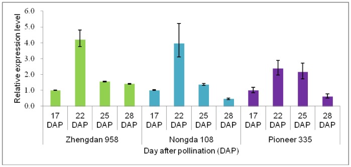 Figure 5