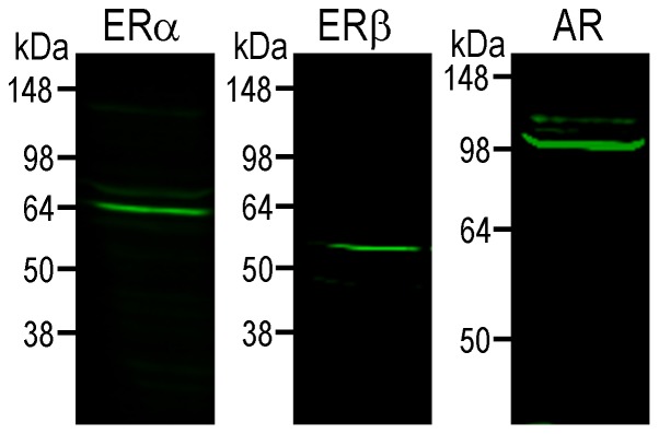 Figure 15