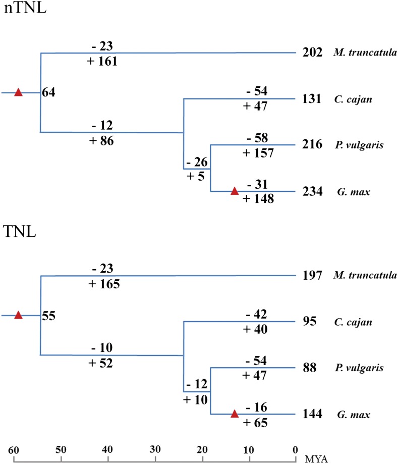 Figure 5.