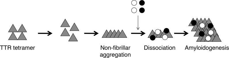 Fig. 6