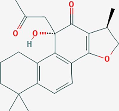 graphic file with name fphar-11-00147-g023.jpg