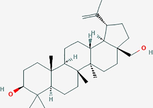 graphic file with name fphar-11-00147-g010.jpg