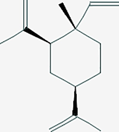 graphic file with name fphar-11-00147-g037.jpg